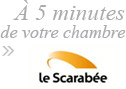 scarabee